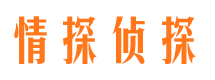 田东出轨调查